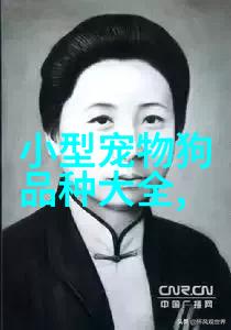 美系杜宾名字霸气洋气(符合杜宾气质的名字)