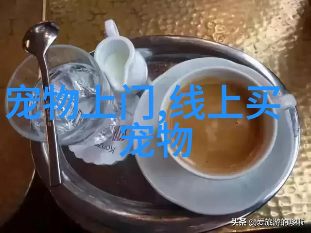 小狗拉稀呕吐什么原因